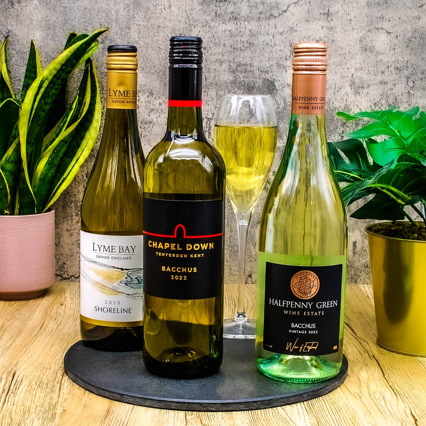 Discovery Case - White Wine